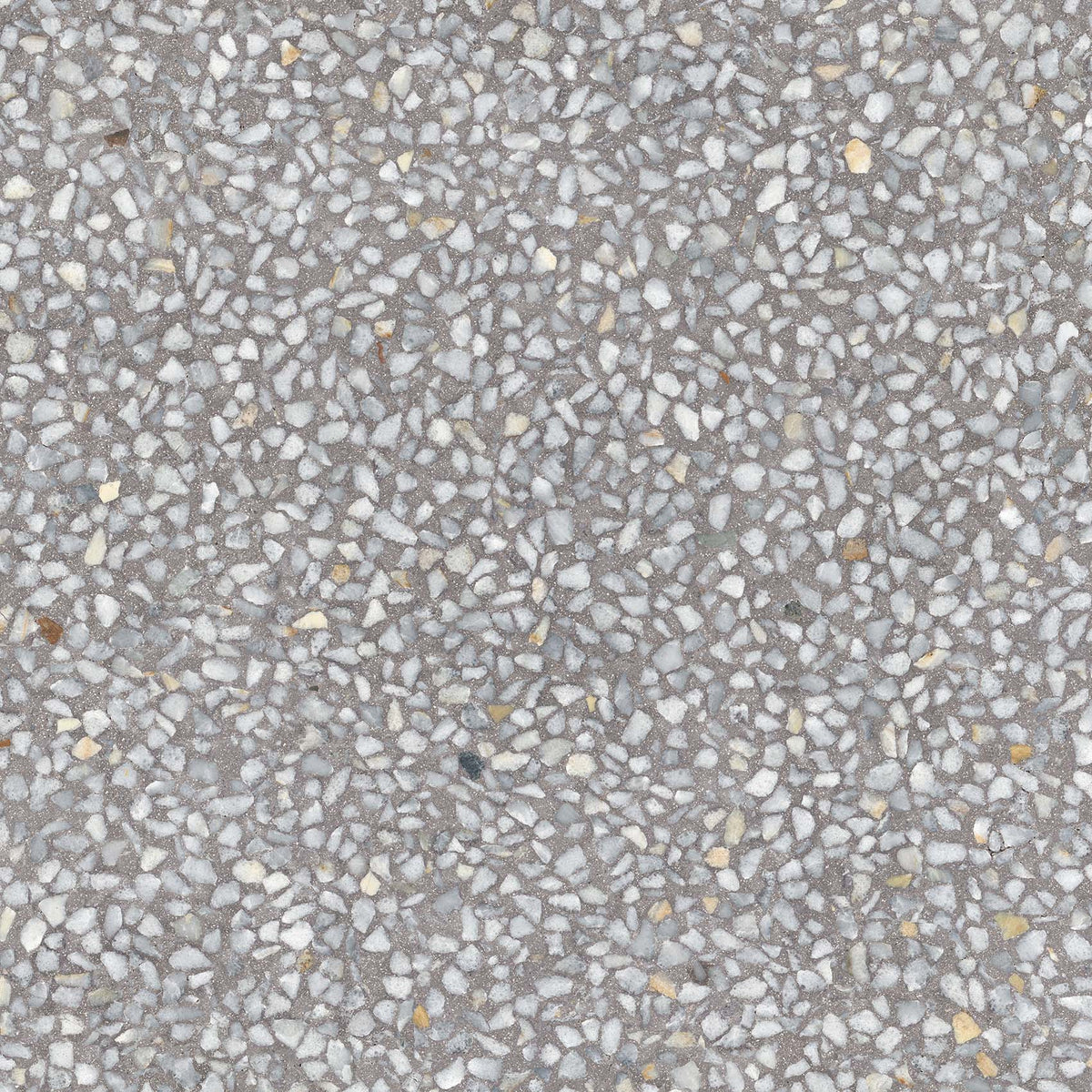 Terrazzo-Fliese Chiavari Zement Halbpoliert 59,3x59,3 - Vetonek