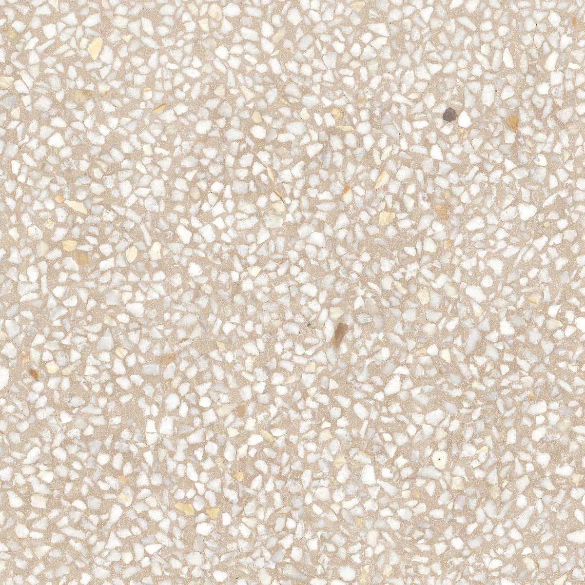 Terrazzo-Fliese Chiavari Creme Halbpoliert 59,3x59,3 - Vetonek