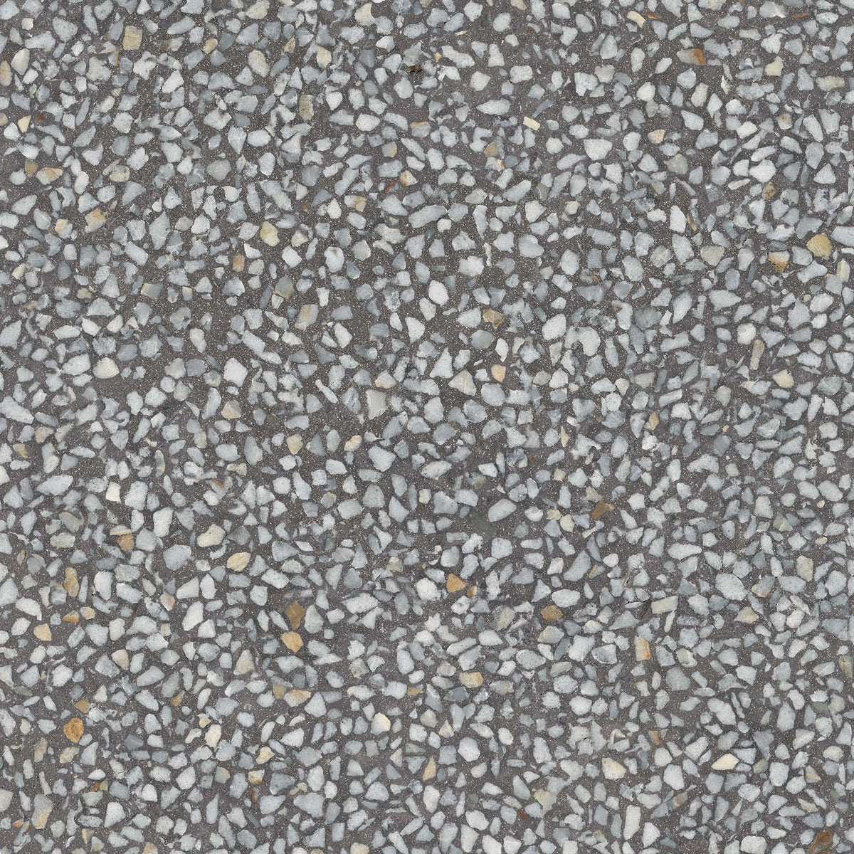 Terrazzo-Fliese Chiavari Graphit 59,3x59,3 - Vetonek