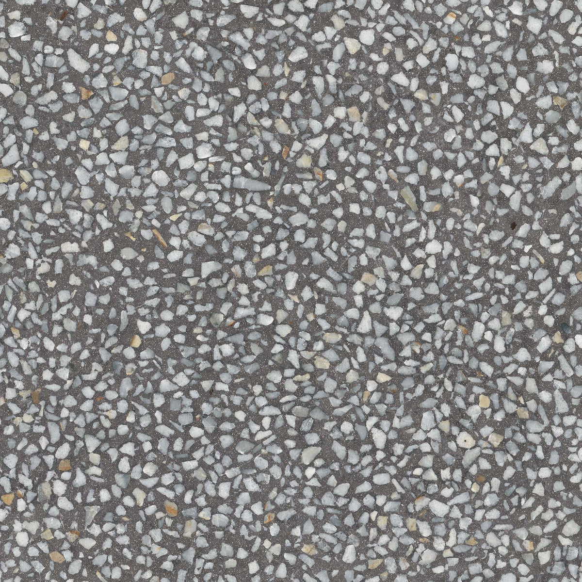 Terrazzo-Fliese Chiavari Graphit Halbpoliert 59,3x59,3 - Vetonek