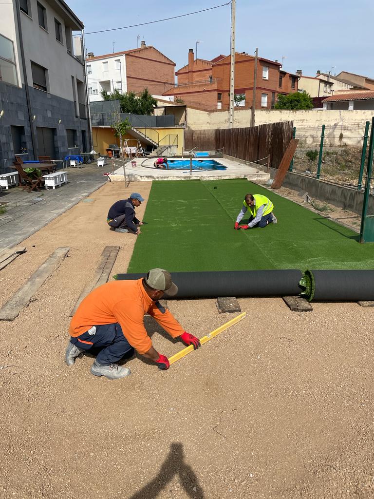 Jabre o Sauló, estabilizador suelos - Vetonek