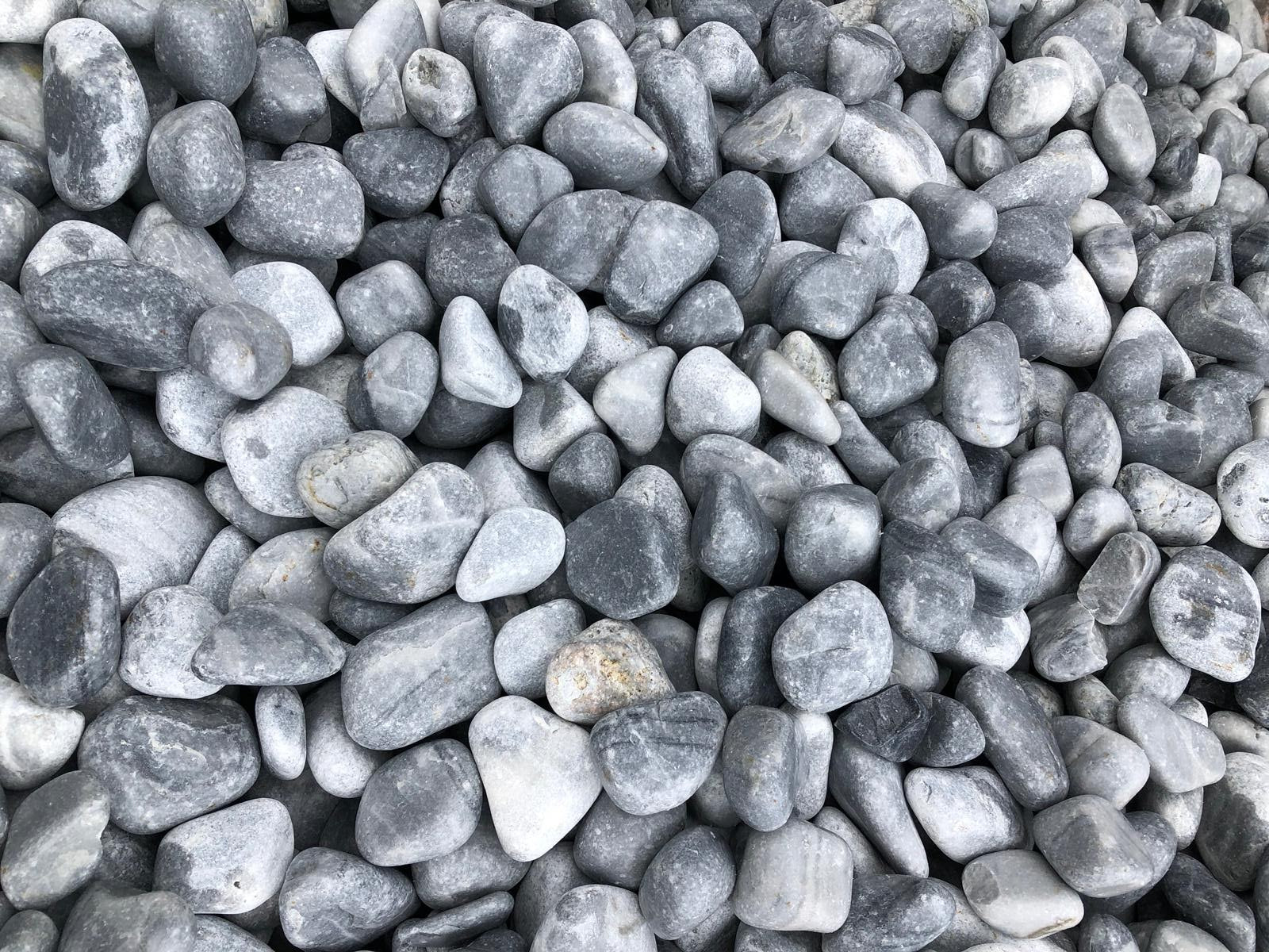 Premium Bluish Gray Pebble - Vetonek