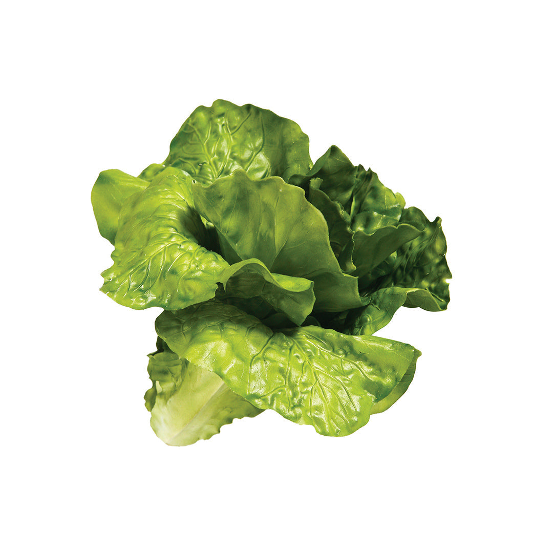 Decorativa Lechuga de Frutas y Verduras Vetonek
