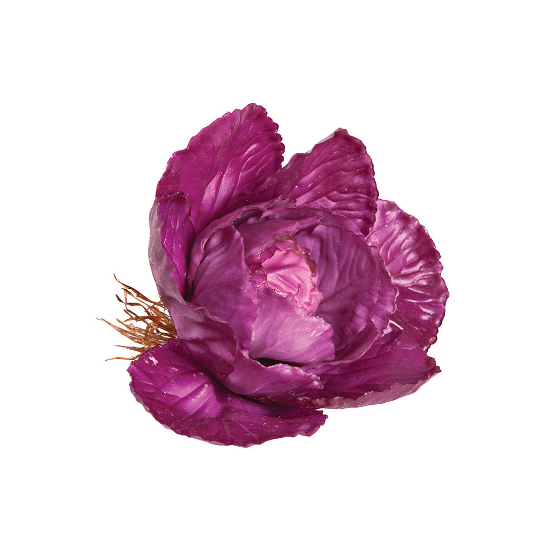Color y frescura con nuestra Col Morada decorativa Vetonek