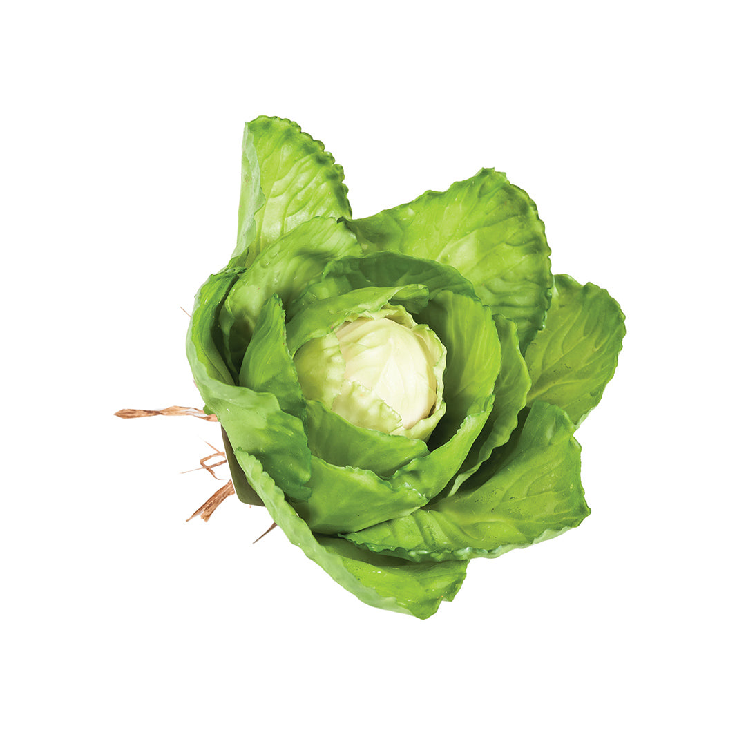 Col Verde Decorativa - Un Toque Fresco y Colorido Vetonek