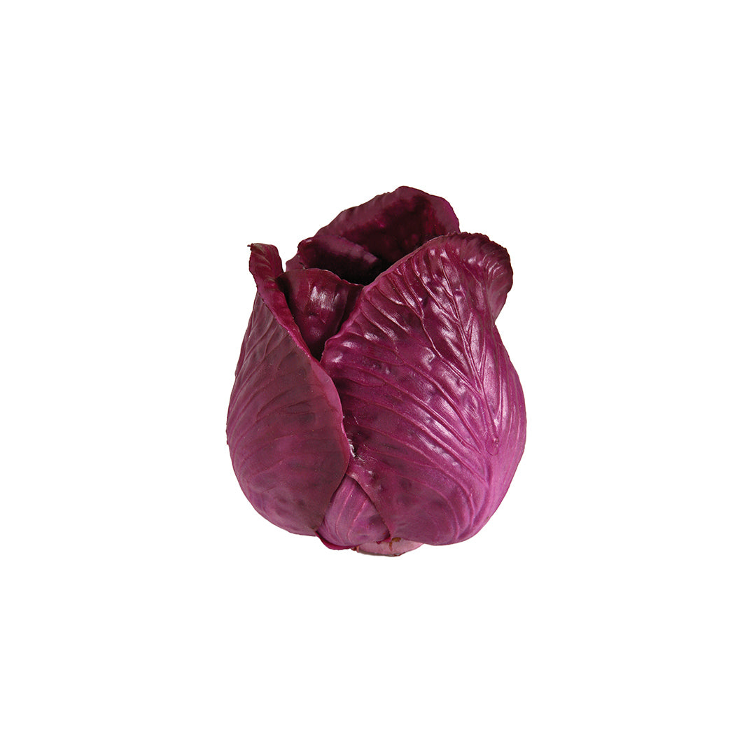 Lombarda Decorativa - Frutas y Verduras que Alegran Cualquier Espacio Vetonek