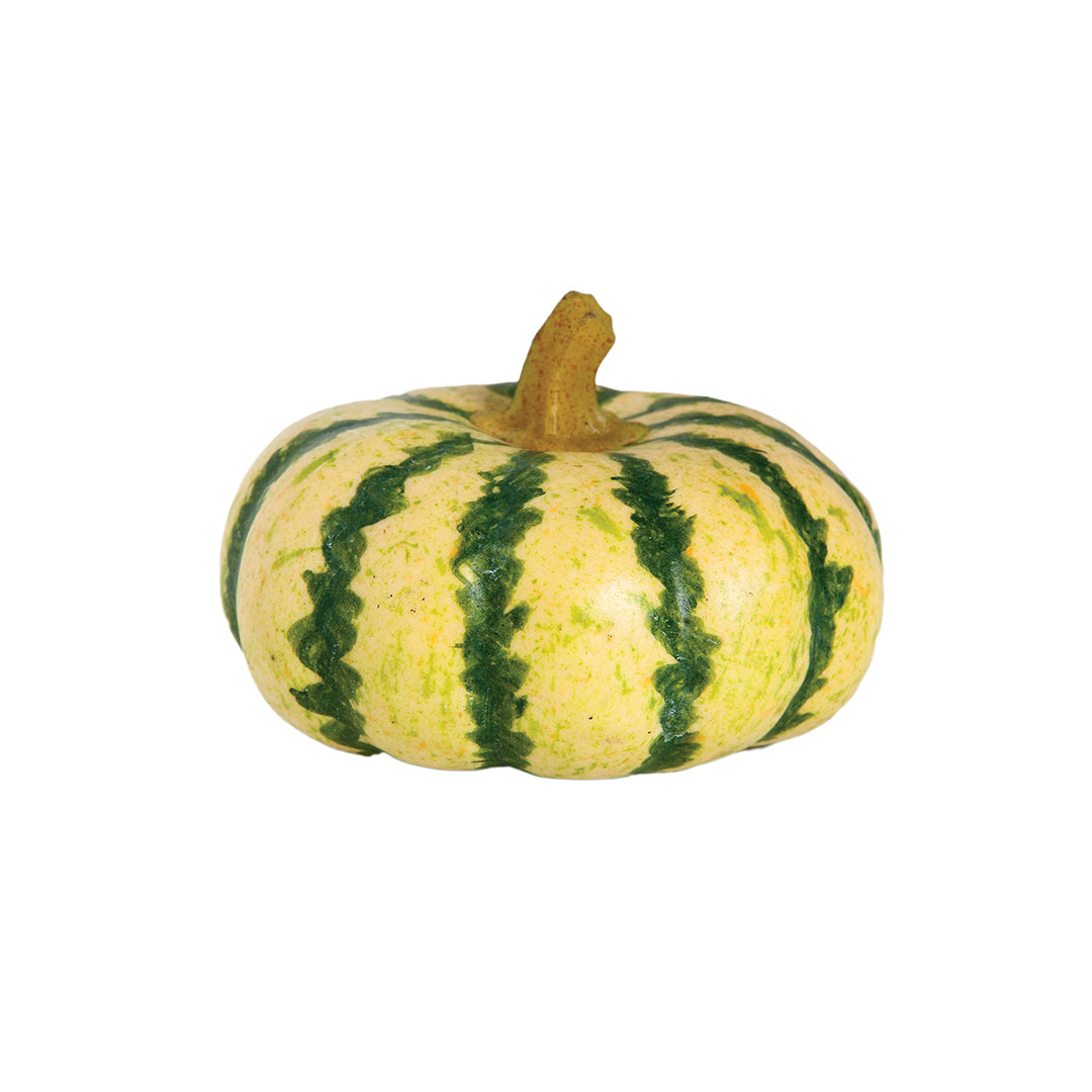Calabaza decorativa para embellecer tu hogar Vetonek