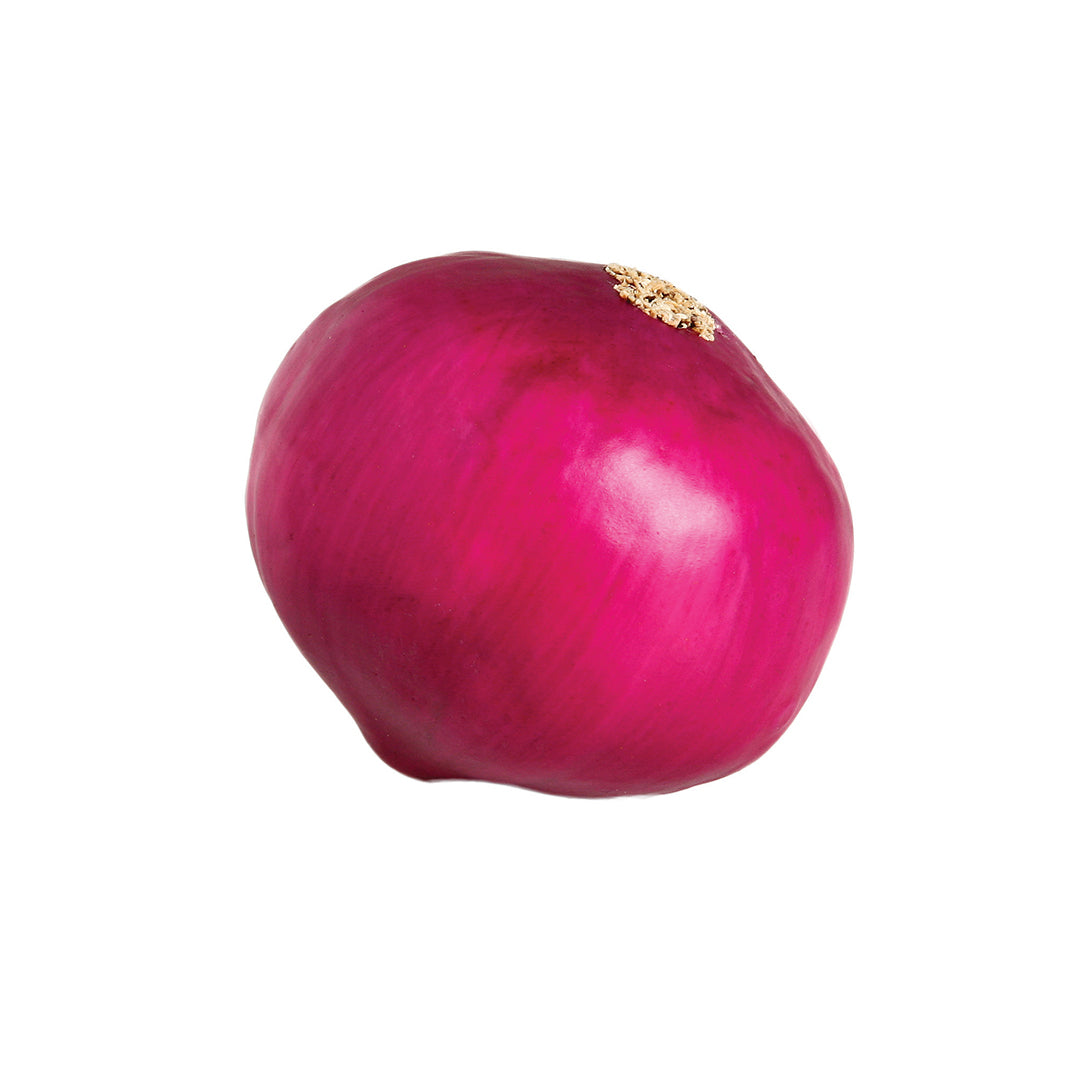 Cebolla Decorativa - Aromatiza y Dale Color a Tu Espacio Vetonek