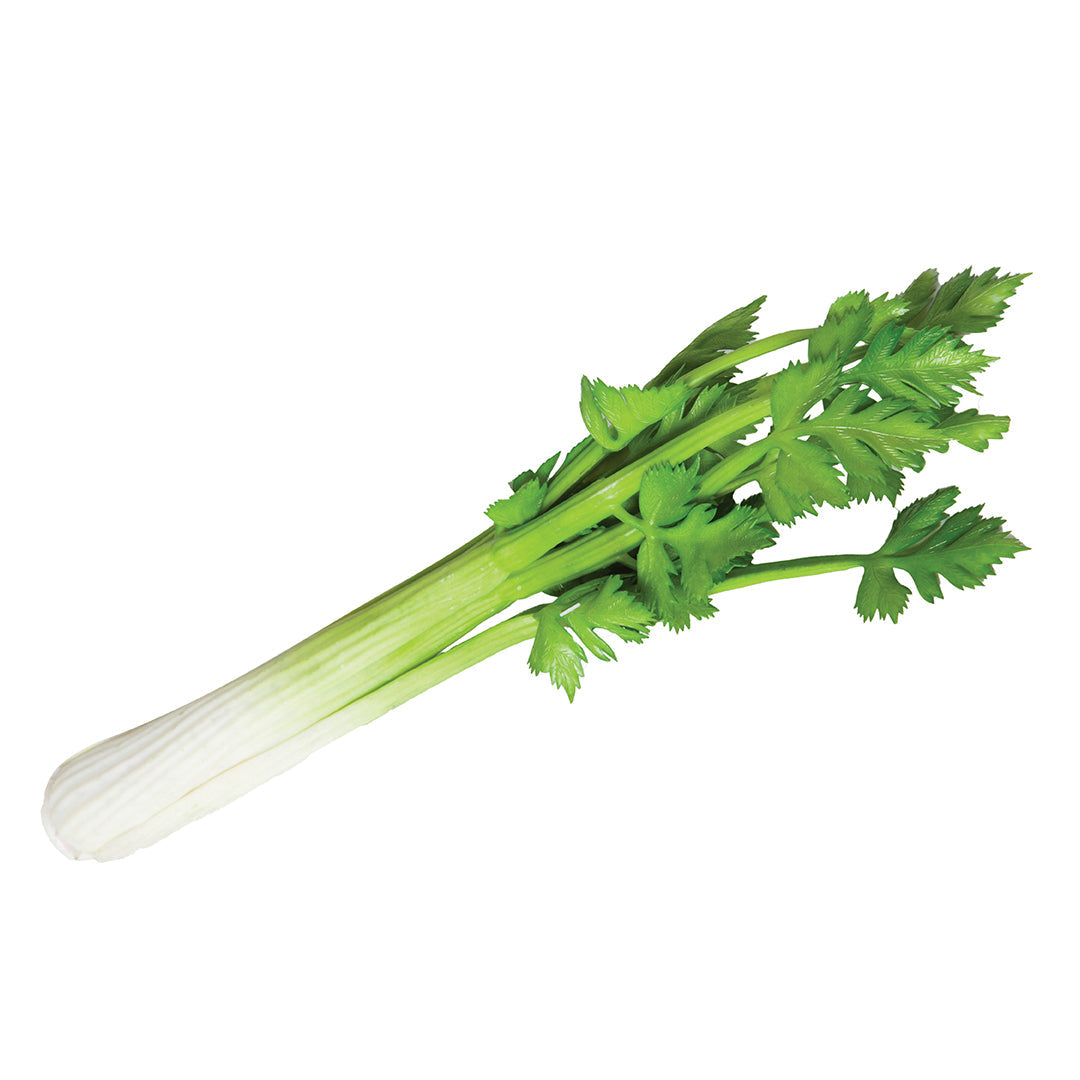 Frutas y verduras decorativas: frescura y color para tu espacio Vetonek