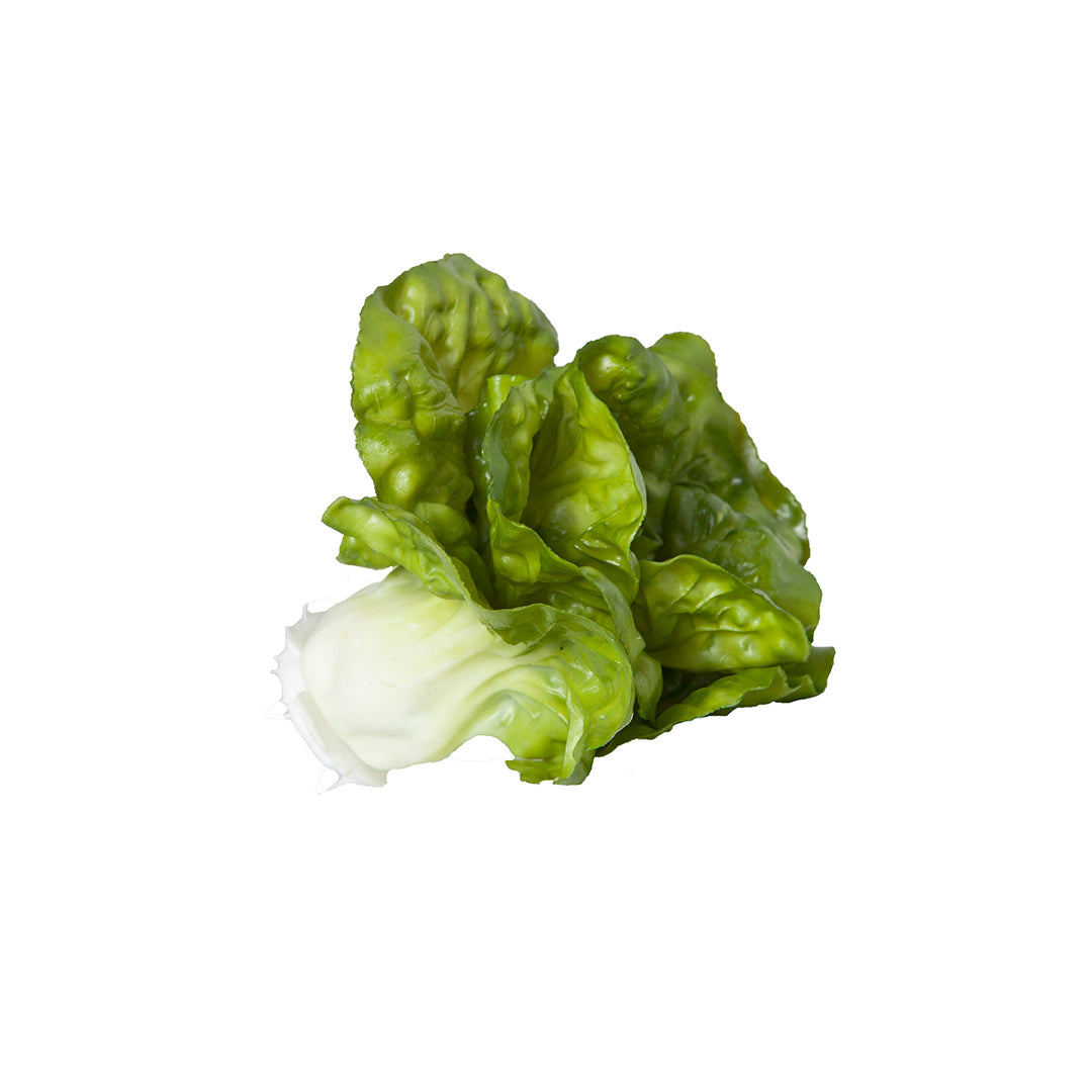 Lechuga II - Frutas y verduras decorativas Vetonek