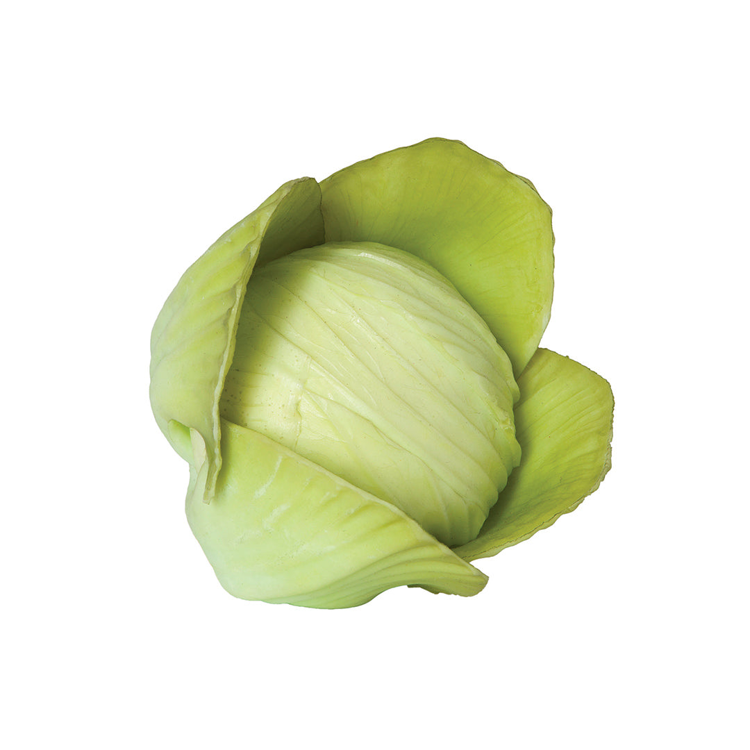 Coliflor decorativa - Ideal para cualquier ambiente Vetonek