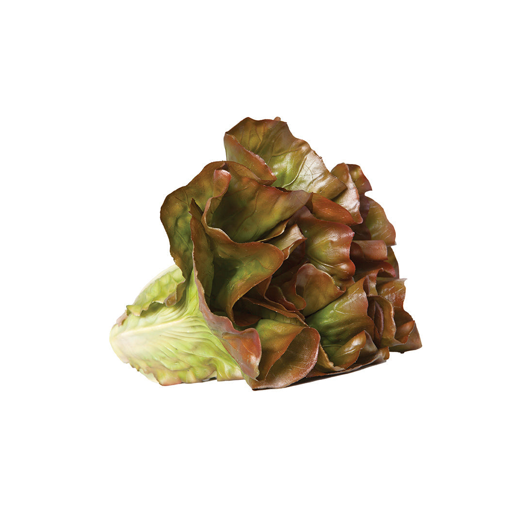 Lechuga Morada Decorativa Vetonek