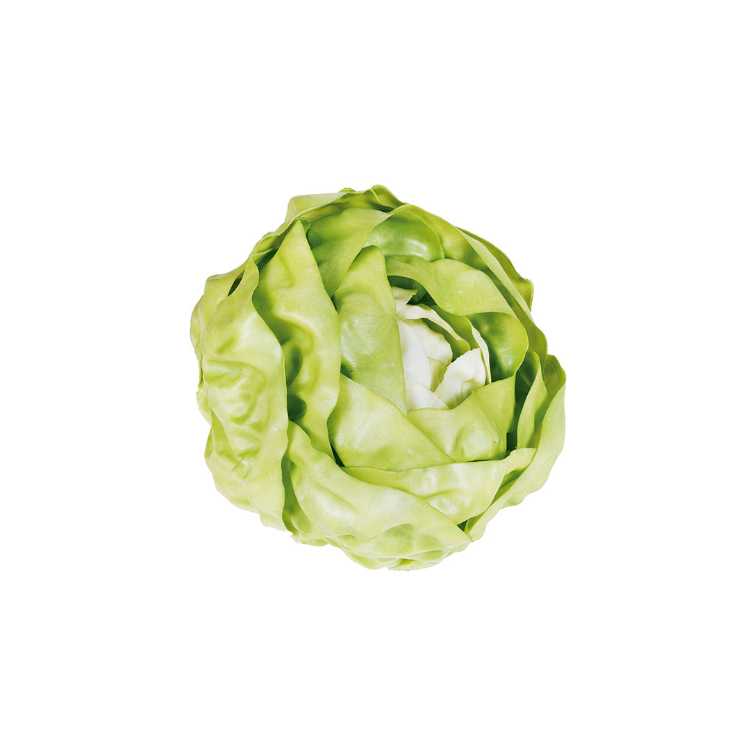 Lechuga Iceberg Decorativa Vetonek