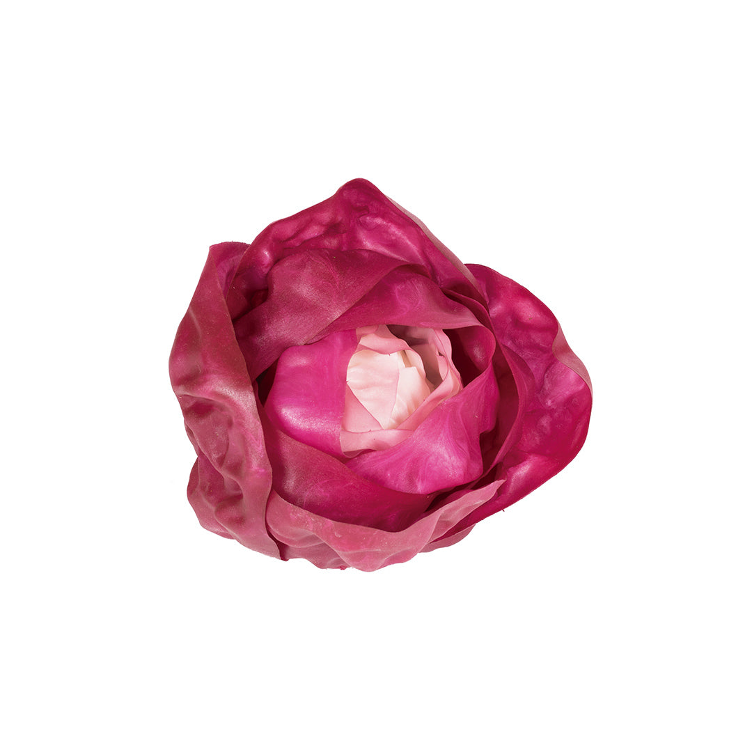 Lechuga Iceberg Morada - Decoración Natural Vetonek