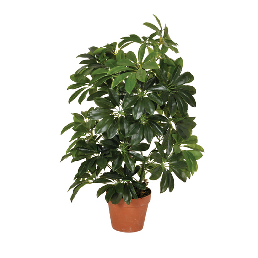 Planta Artificial Cheflara - Naturalidad y Estilo para Tu Hogar Vetonek