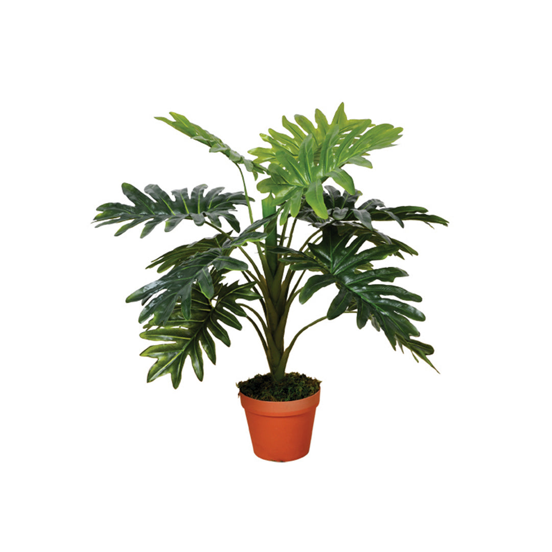 Planta Artificial Filodendro - Realismo y Estilo para tu Hogar Vetonek