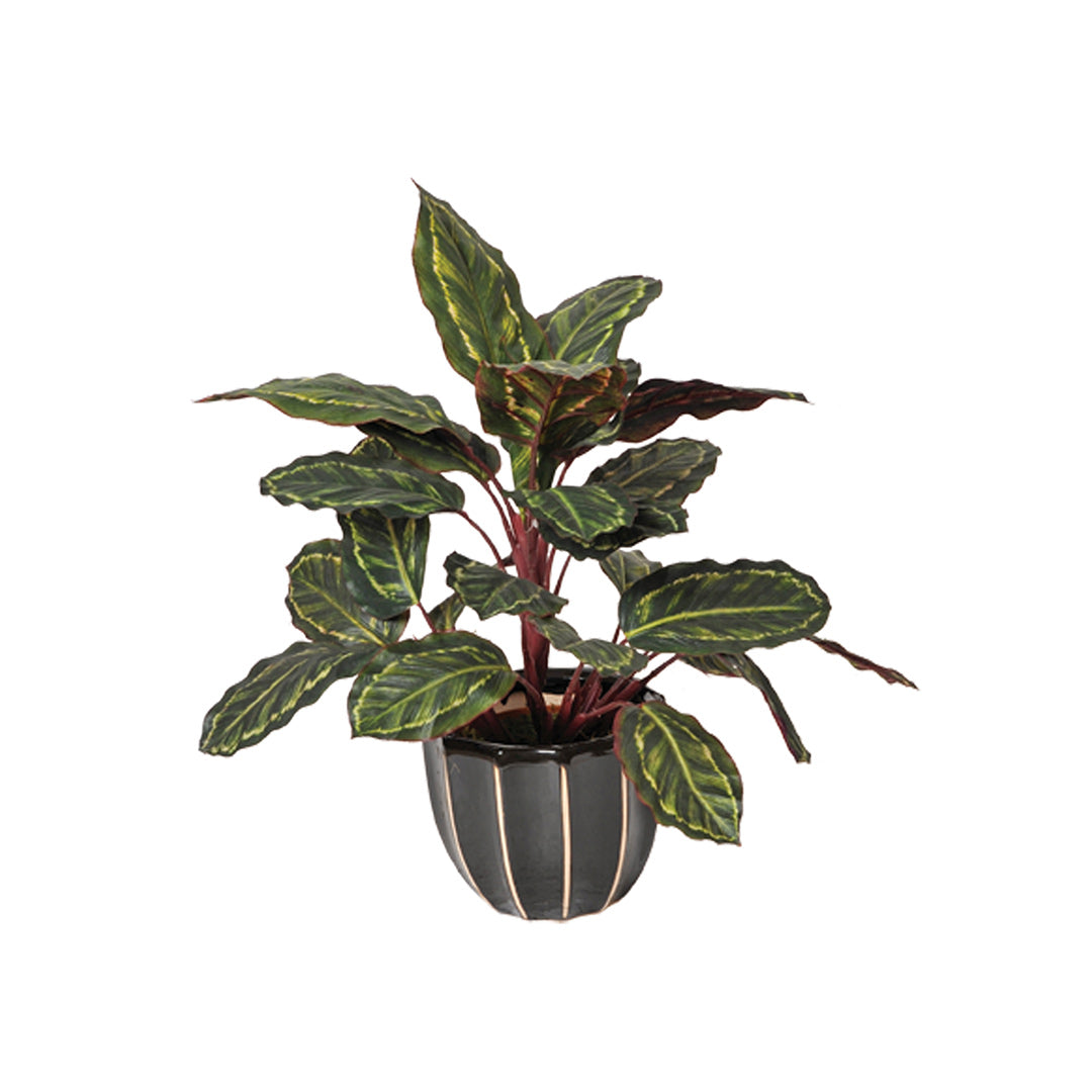 Planta Artificial Calatea Cebra - Decoración Sin Mantenimiento Vetonek