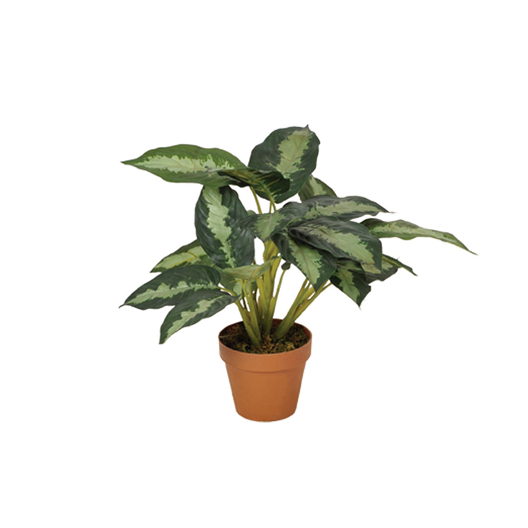 Planta Artificial Calatea - Decoración Natural y Sin Mantenimiento Vetonek