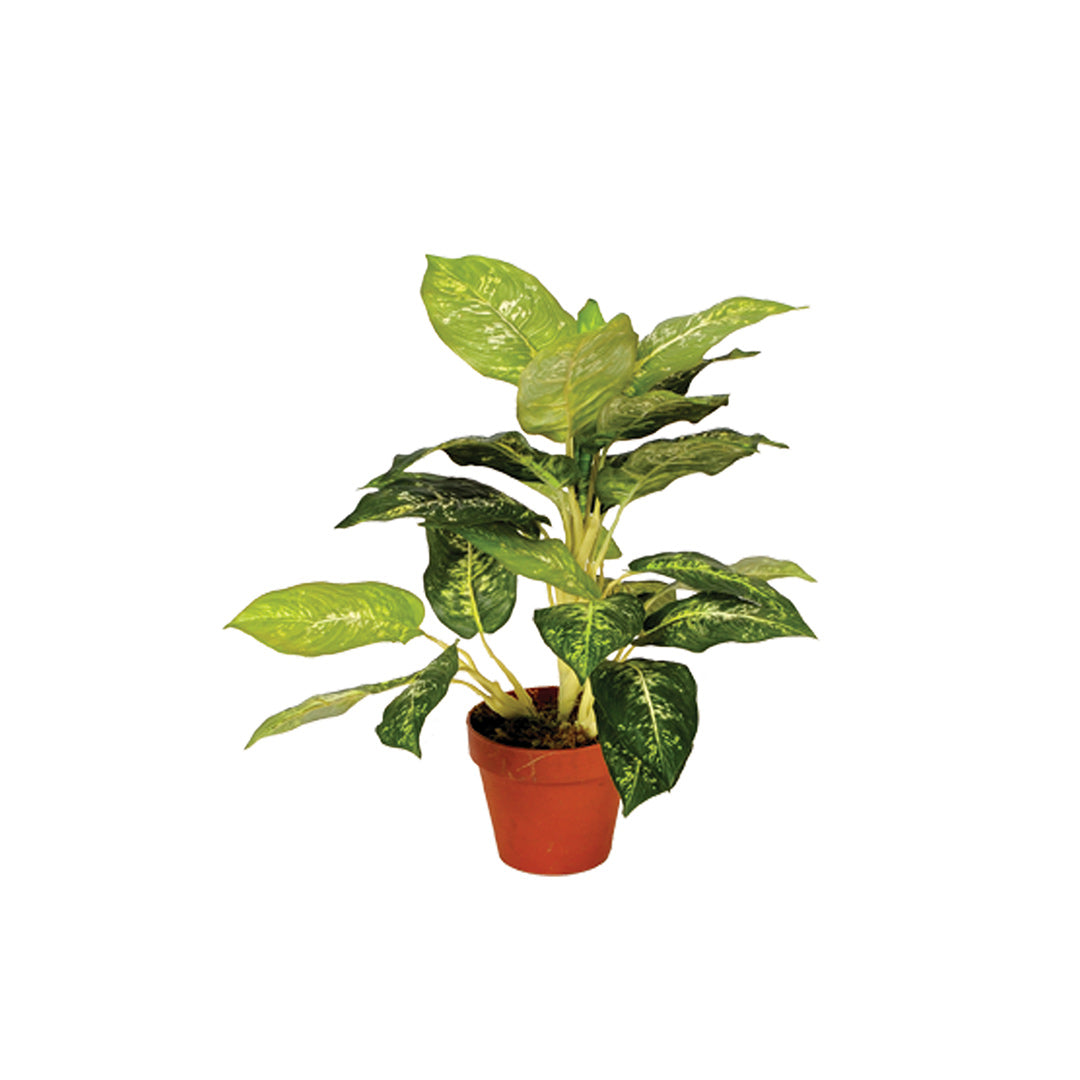 Planta Artificial Calatea Luisae - Decoración Natural Sin Mantenimiento Vetonek