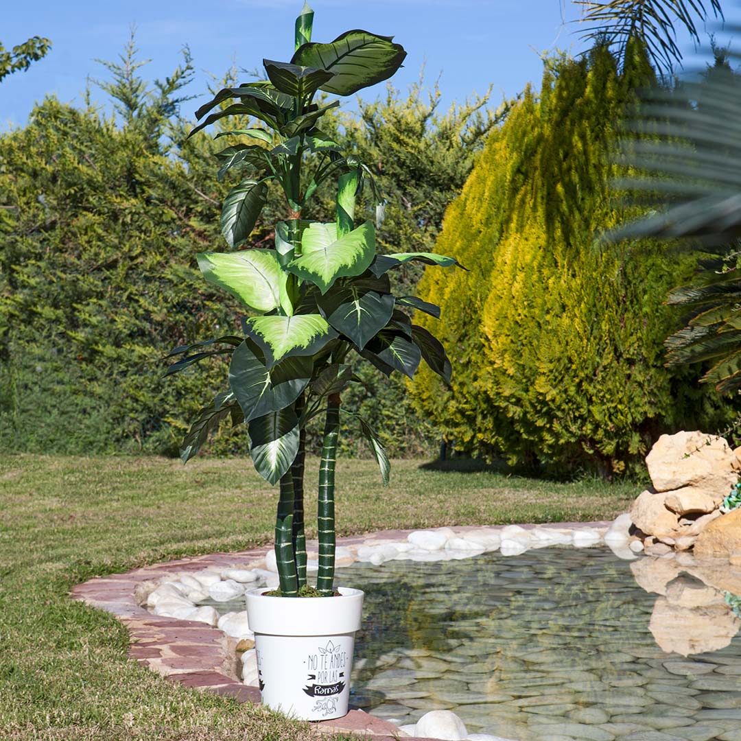 Planta Artificial Pata de Elefante - Decoración Natural Sin Mantenimiento Vetonek
