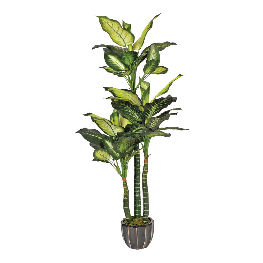 Planta Artificial Pata de Elefante - Decoración Natural Sin Mantenimiento Vetonek