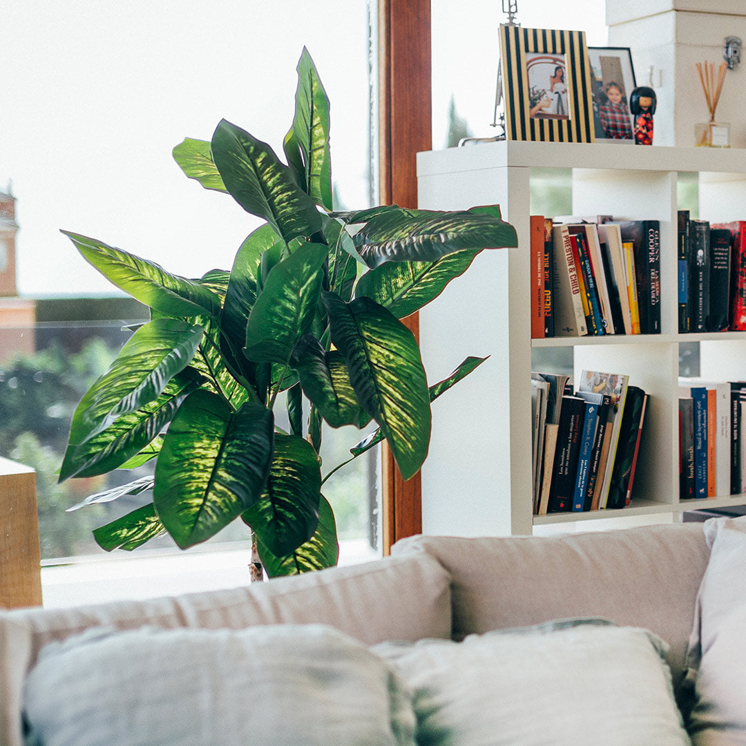 Planta Artificial Aracea - Decoración Natural Sin Mantenimiento Vetonek