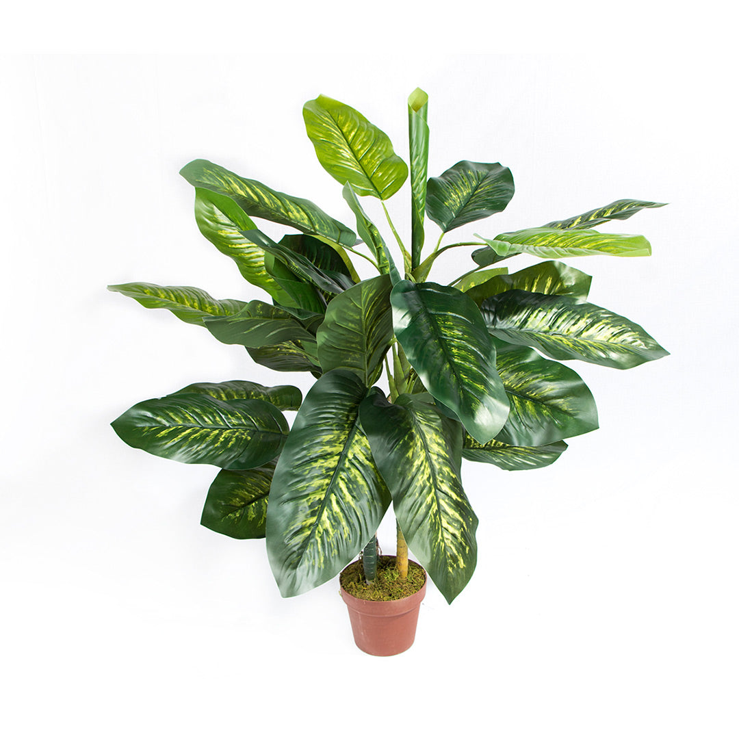 Planta Artificial Aracea - Decoración Natural Sin Mantenimiento Vetonek