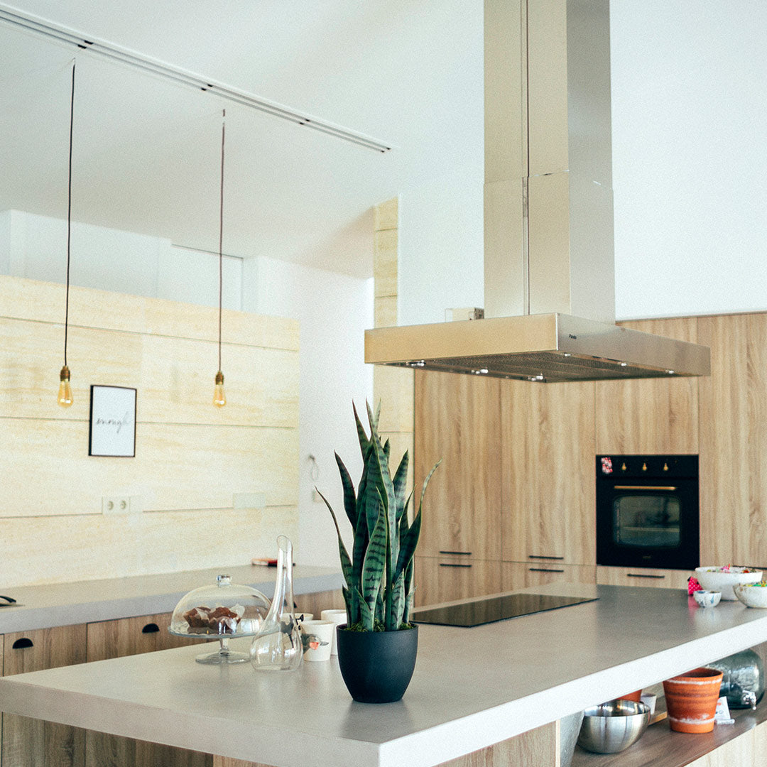 Planta Artificial Sansevieria: Elegancia y Naturalidad en Tu Hogar Vetonek