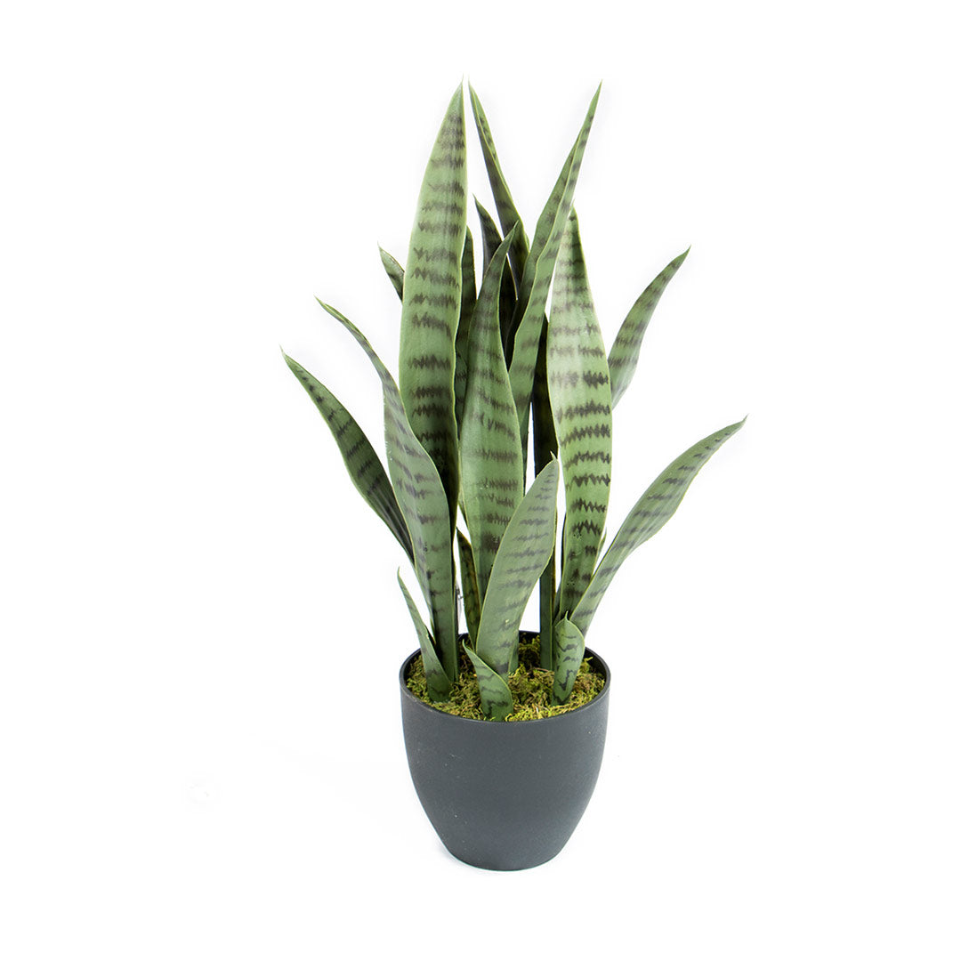 Planta Artificial Sansevieria: Elegancia y Naturalidad en Tu Hogar Vetonek