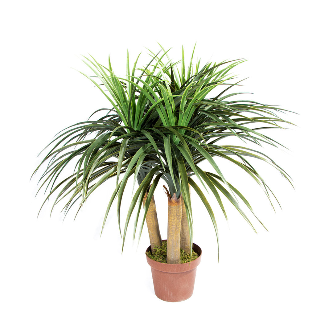 Planta Artificial Nolina Mini - Naturalidad Sin Mantenimiento Vetonek