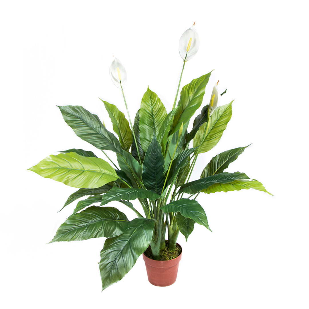 Planta Artificial Vela del Viento - Decoración Natural sin Mantenimiento Vetonek