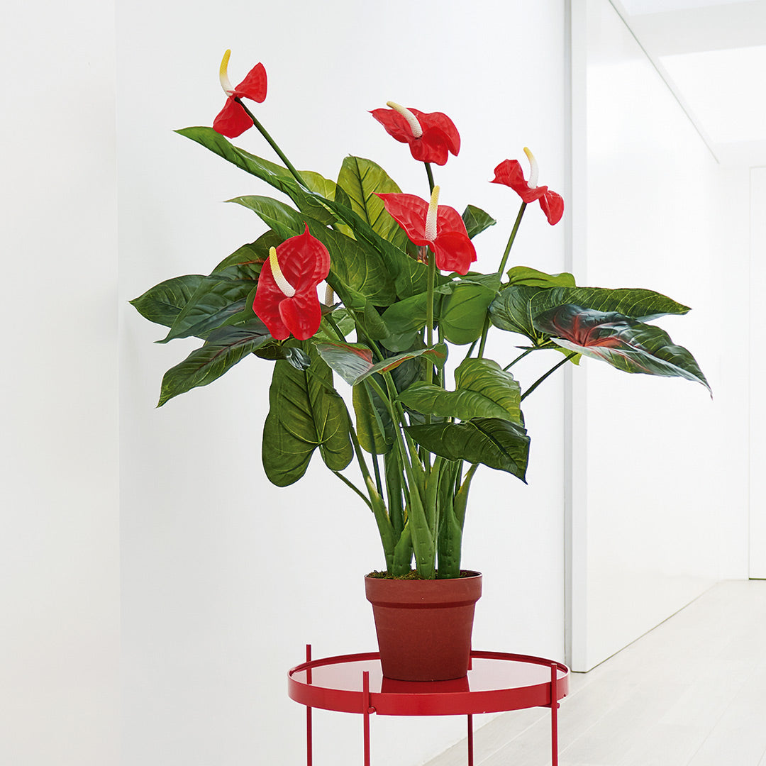 Planta Artificial Anturio - Decoración Natural Sin Mantenimiento Vetonek