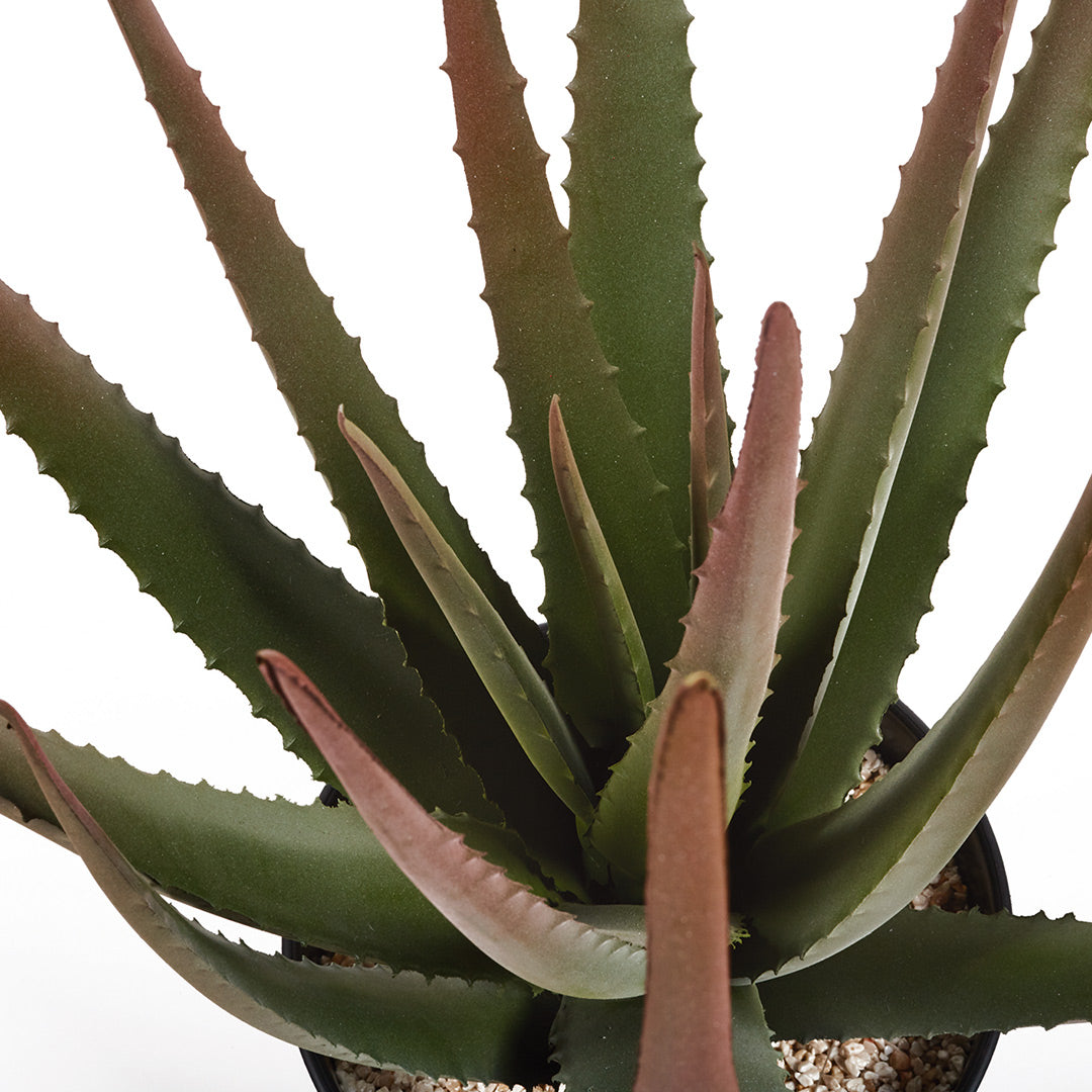 Cactus Artificial Aloe - Decoración Natural y Sin Mantenimiento Vetonek