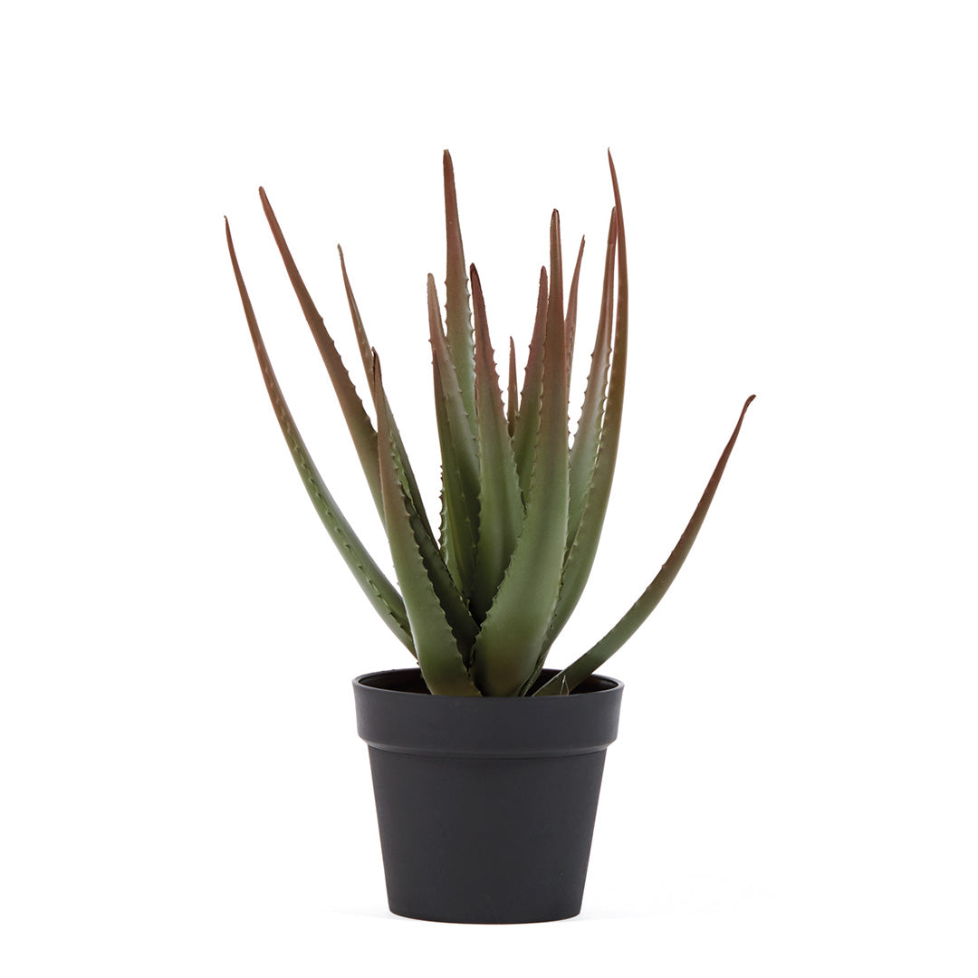 Cactus Artificial Aloe - Decoración Natural y Sin Mantenimiento Vetonek