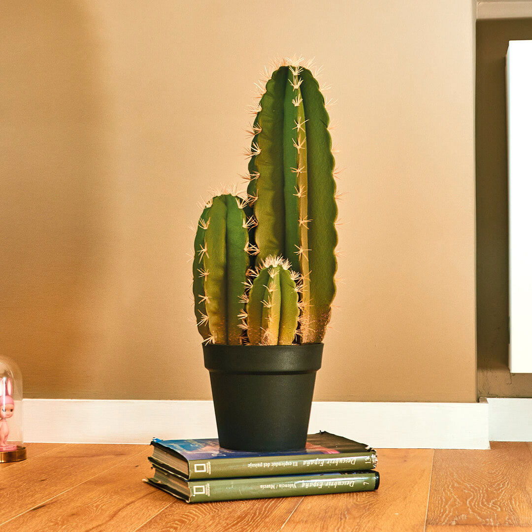 Cactus Artificial Organo: Decoración Sin Mantenimiento Vetonek