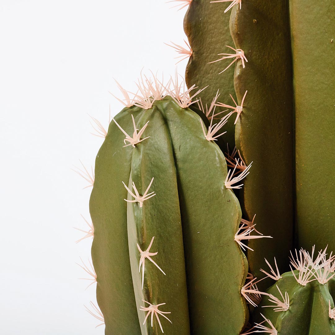 Cactus Artificial Organo: Decoración Sin Mantenimiento Vetonek
