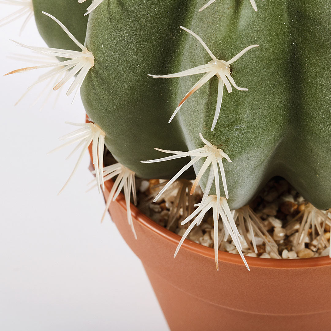 Cactus Artificial Stetsonia Coryne - Decoración Natural Sin Mantenimiento Vetonek