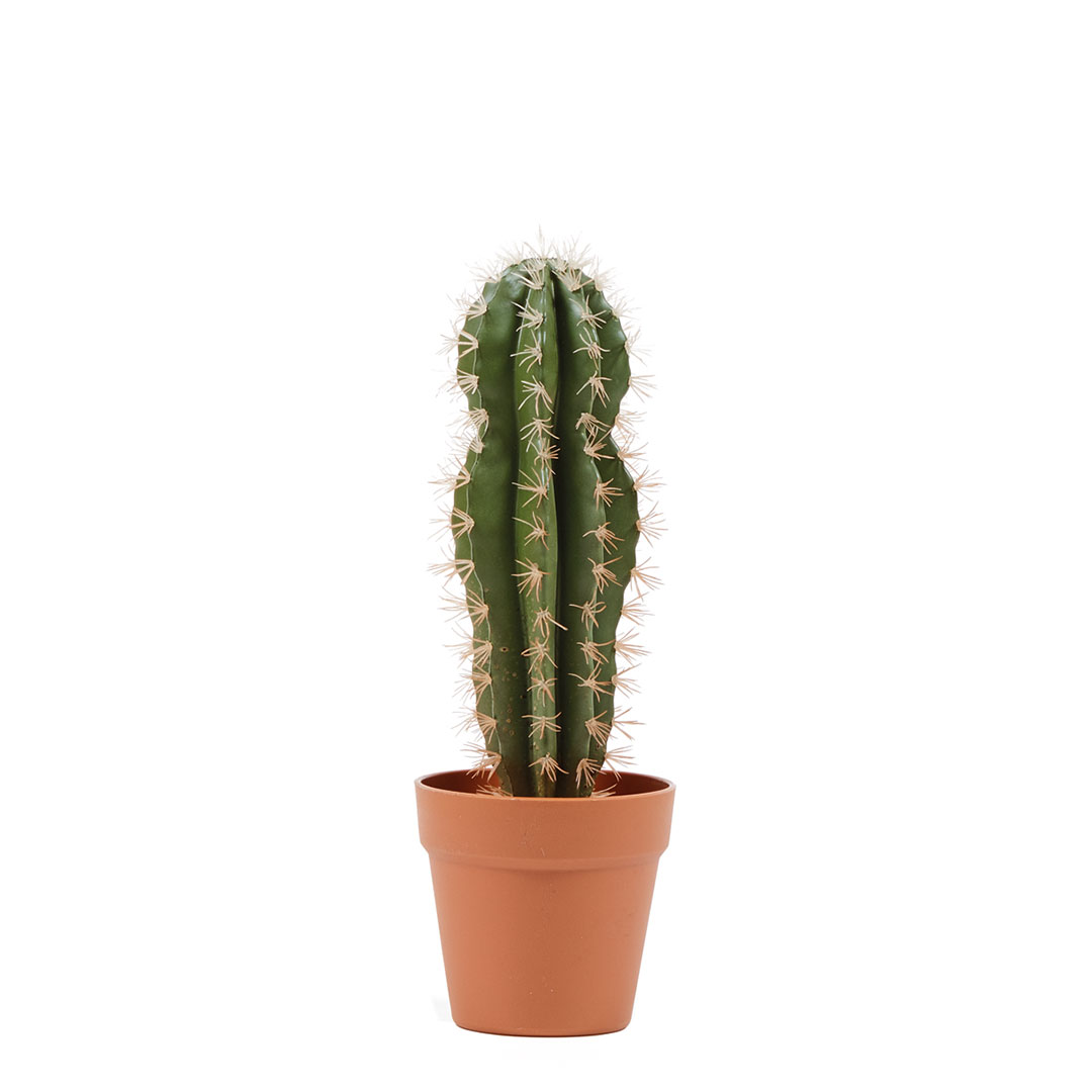 Cactus Artificial Stetsonia Coryne - Decoración Natural Sin Mantenimiento Vetonek