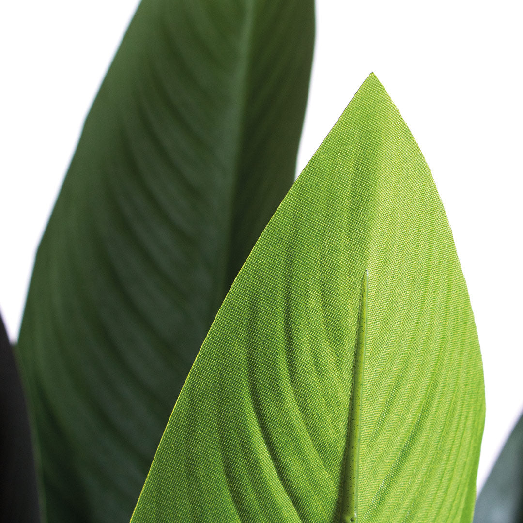 Planta Artificial Ave del Paraíso Vetonek