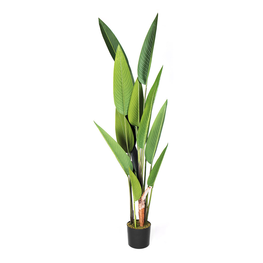 Planta Artificial Ave del Paraíso Vetonek