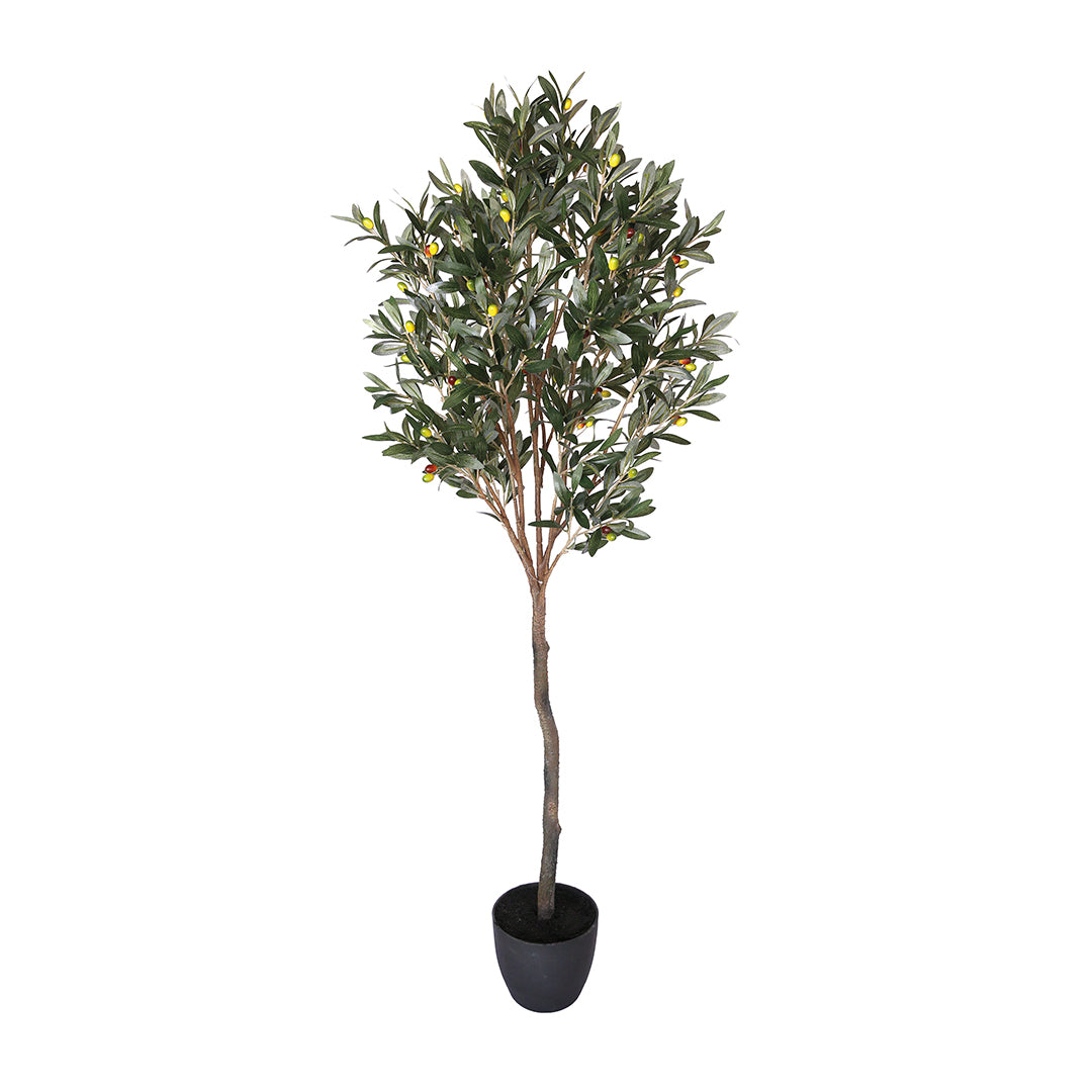 Planta Artificial Olivo - Realismo y Estilo Vetonek