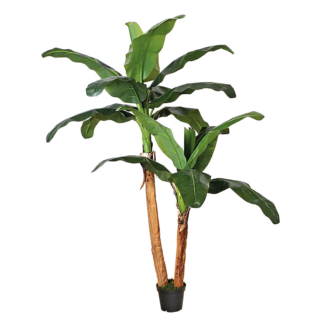 Planta Artificial Platanera - Decoración Natural Sin Mantenimiento Vetonek