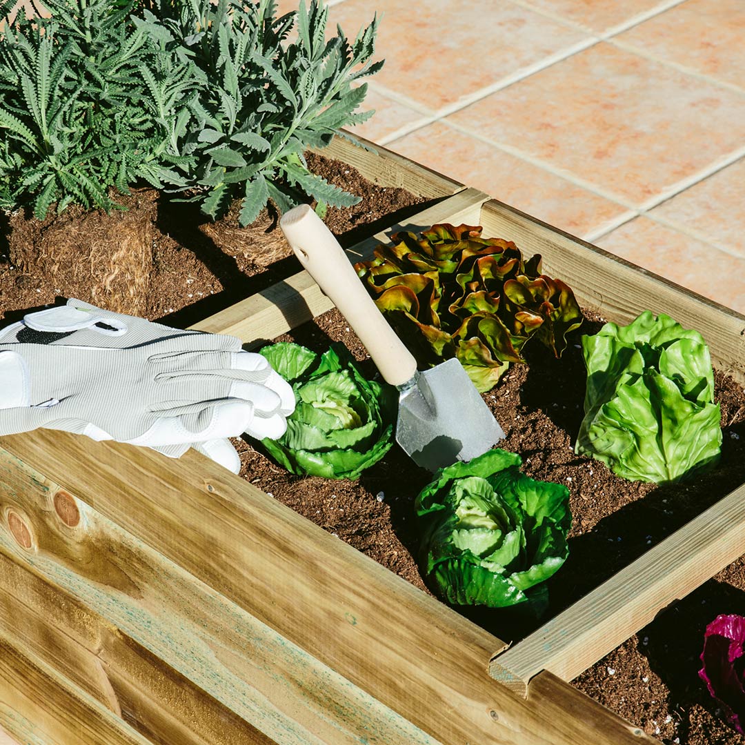 Huerto de Madera de Pino Linenature con 3 Cavidades Vetonek