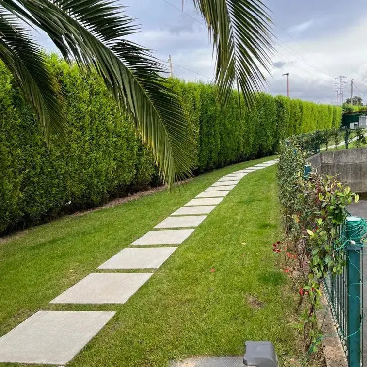 Losa Cuadrada 75x75 cm Vetonek