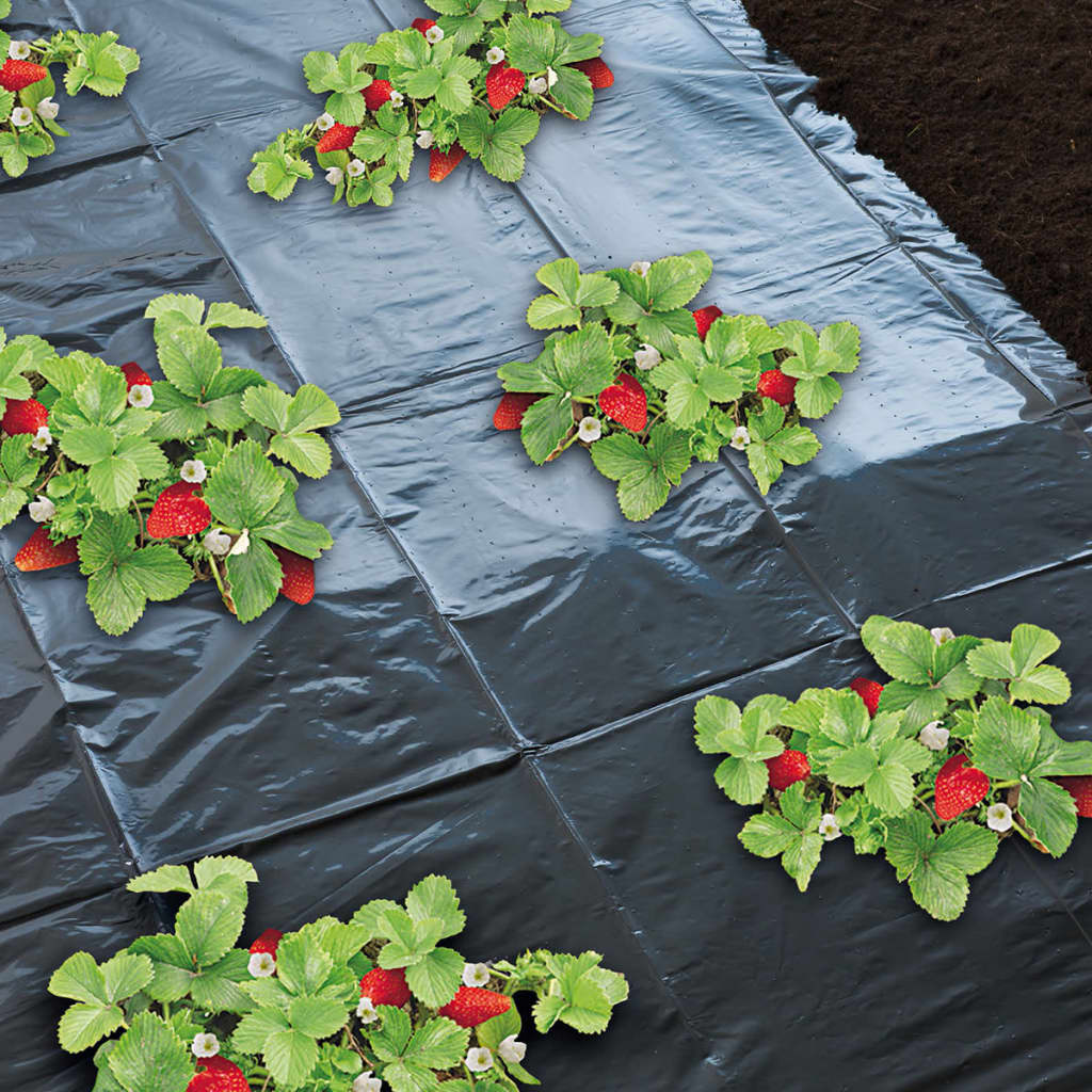 Nature Mantillo pour les fraises 1,4x20 M 6030231