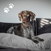 Vetonek Cushion for dogs Velvet gray 100x70x15 cm