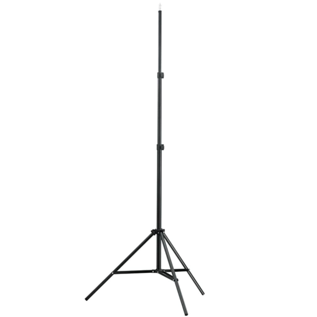 Sistema de soporte de fondo telescópico 155-300 cm vidaXL