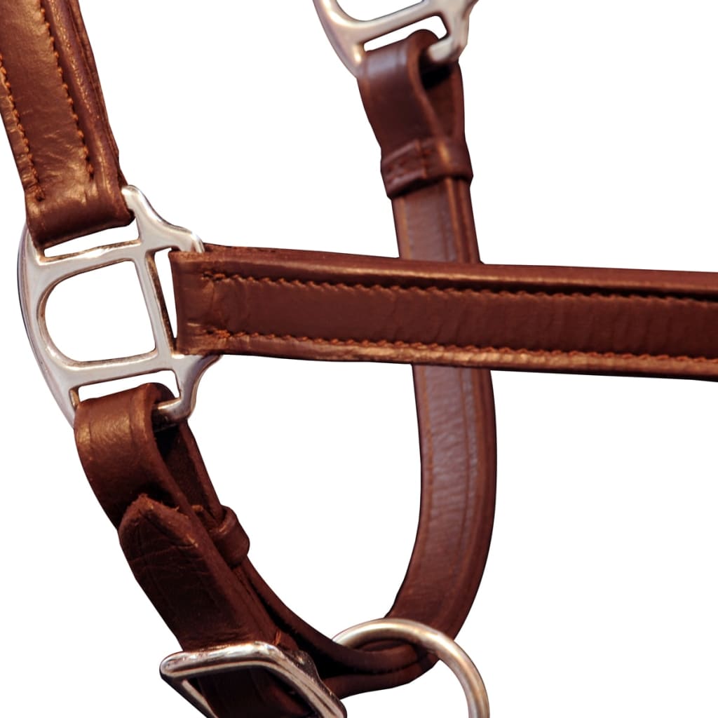 Ronzal/A adjustable brown leather hood for percherón horse