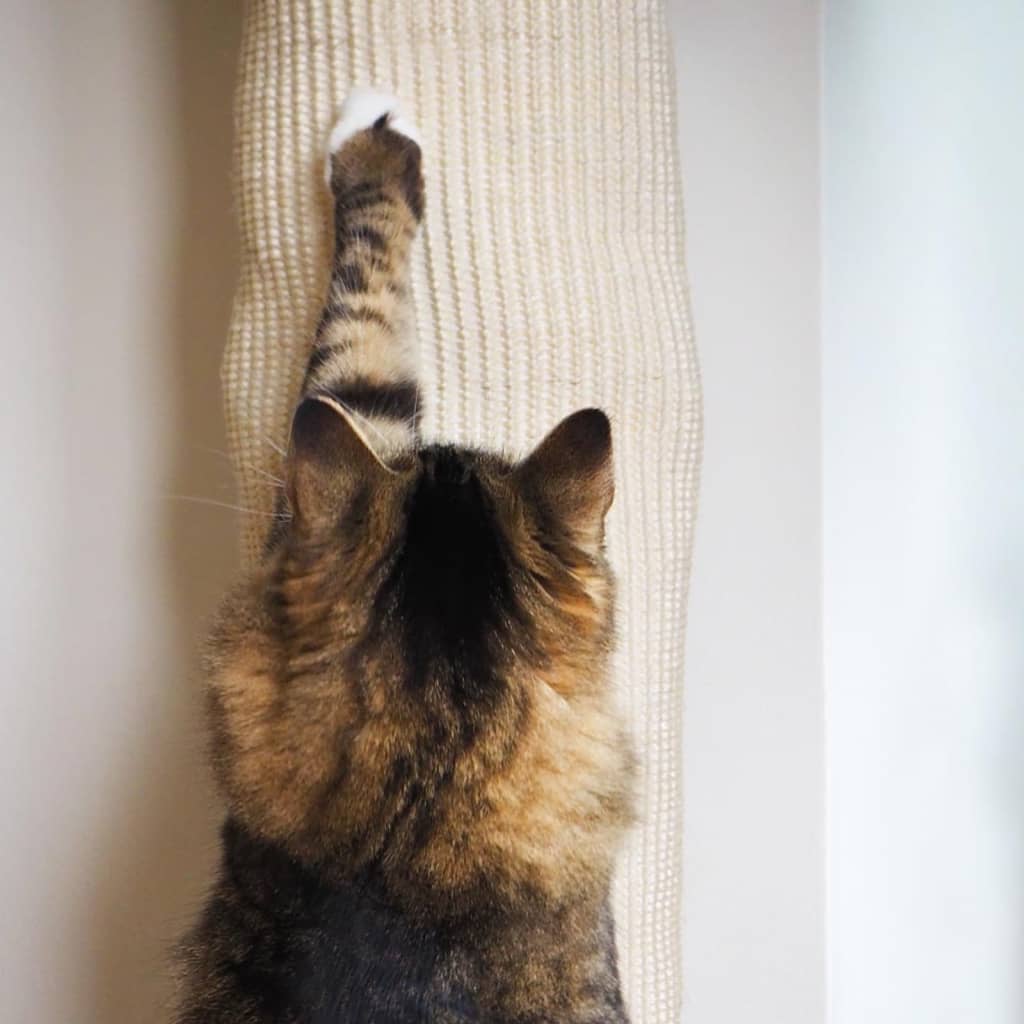 Quapas! Saco de escalada para gatos sisal 180 cm vidaXL