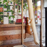 Bolsa de escalada para gatos sisal 180 cm v9173 Vetonek